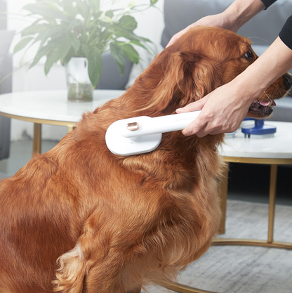 Pet Comb Cats & Dogs To Remove Floating Hair